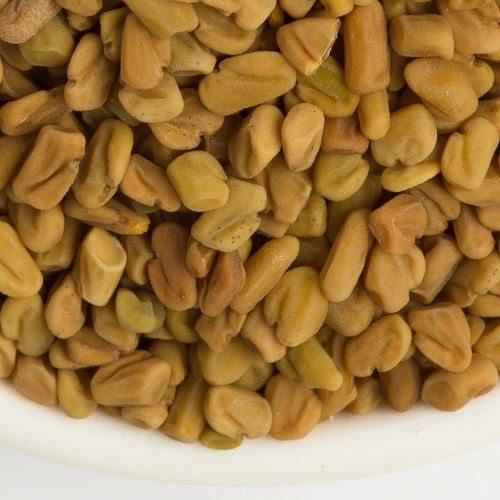 Fenugreek Oleoresins are obtained by the solvent extraction of dried seeds of Fenugreek