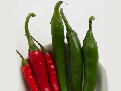 Capsicum Oleoresin is obtained by the solvent extraction of dried ripe fruits of Capsicum.