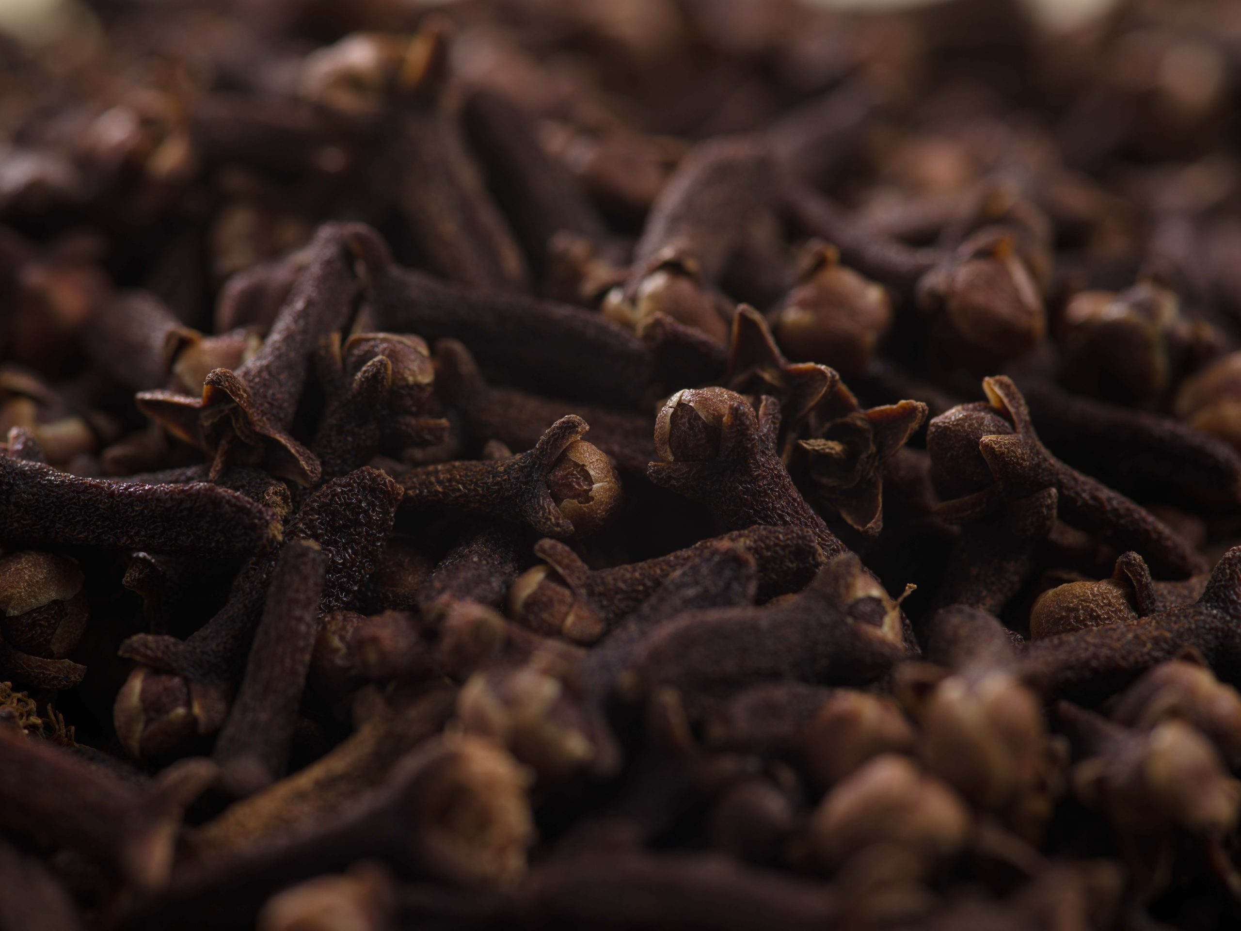 Clove bud oil is obtained by the steam distillation of dried flower buds of clove.