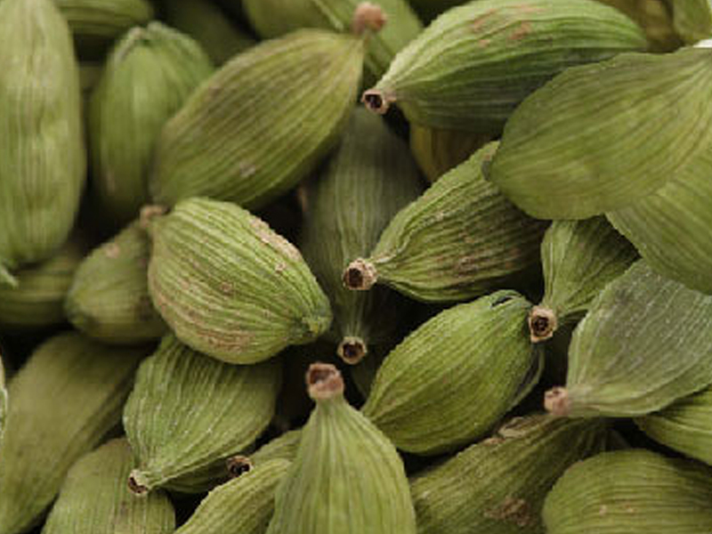 Cardamom Oleoresins are obtained by solvent extraction of the seeds of Cardamom.