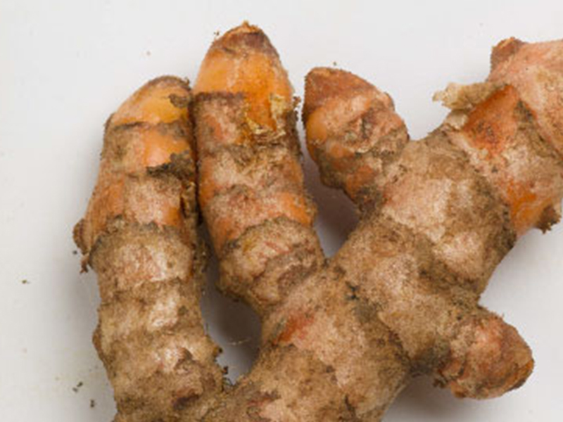 Turmeric Oleoresin is obtained by the solvent extraction of ground-dried rhizomes of Turmeric