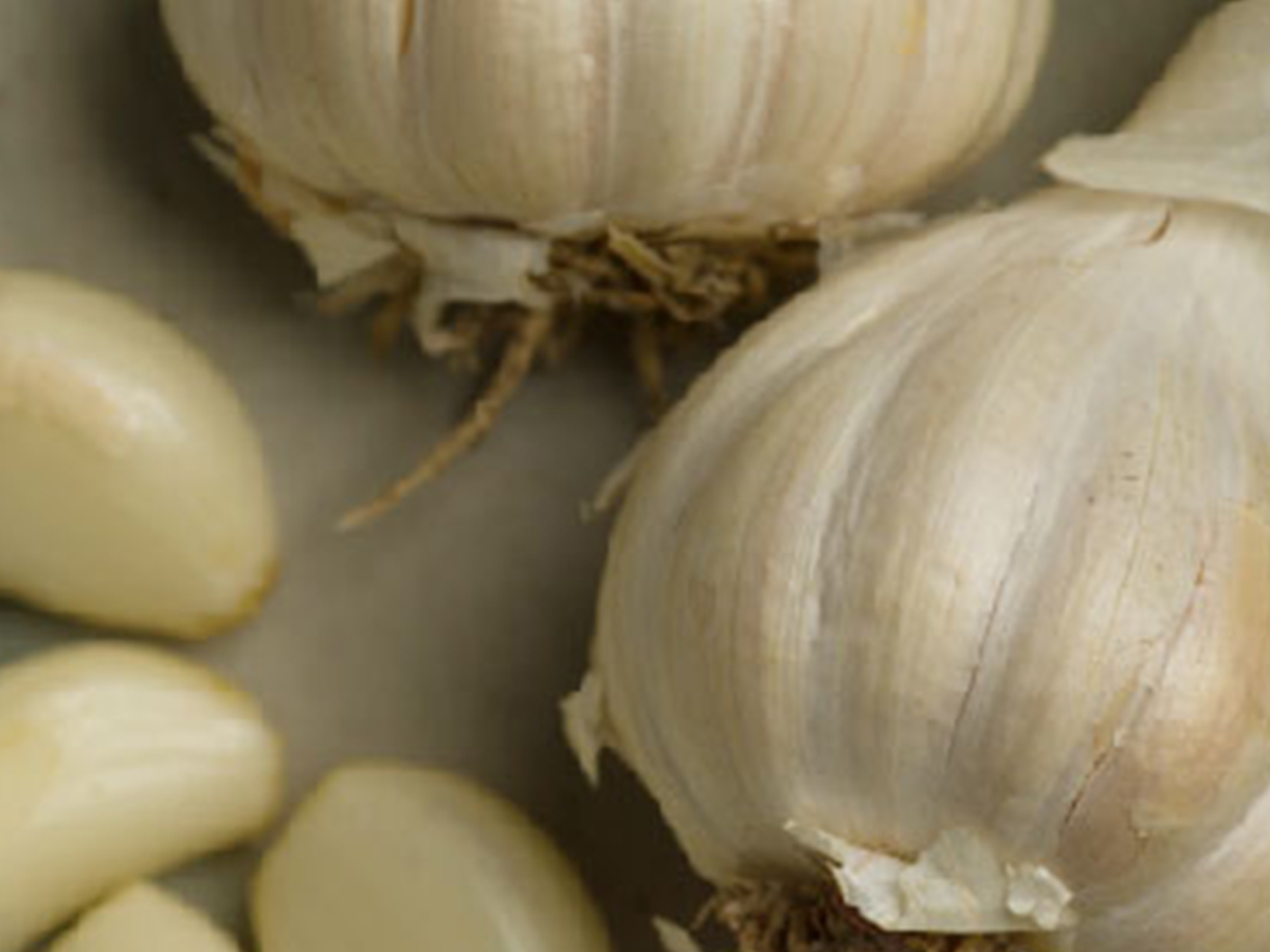Garlic Oleoresin or essential oil