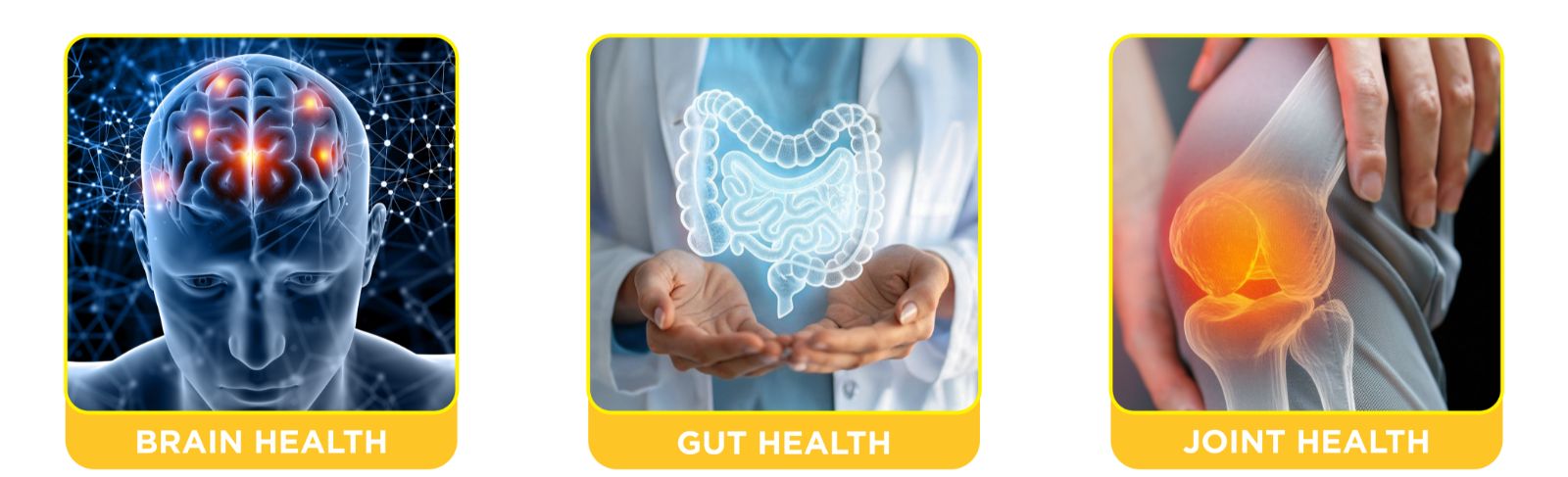 Brain-Gut Connection