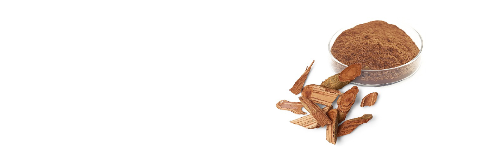 Main-banner