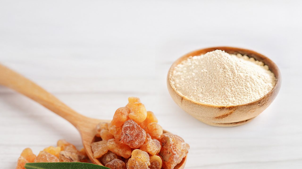 Boswellia serrata extract manufacturer