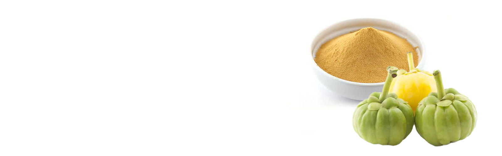 Main-banner