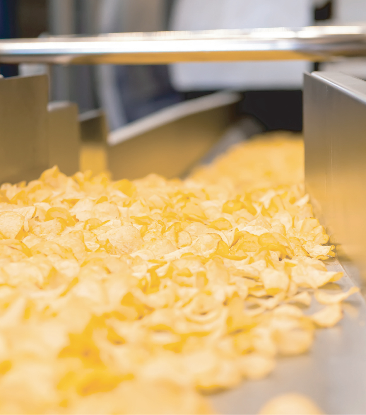 Study on shelf life enhancement of sunflower oil in continuous frying conditions