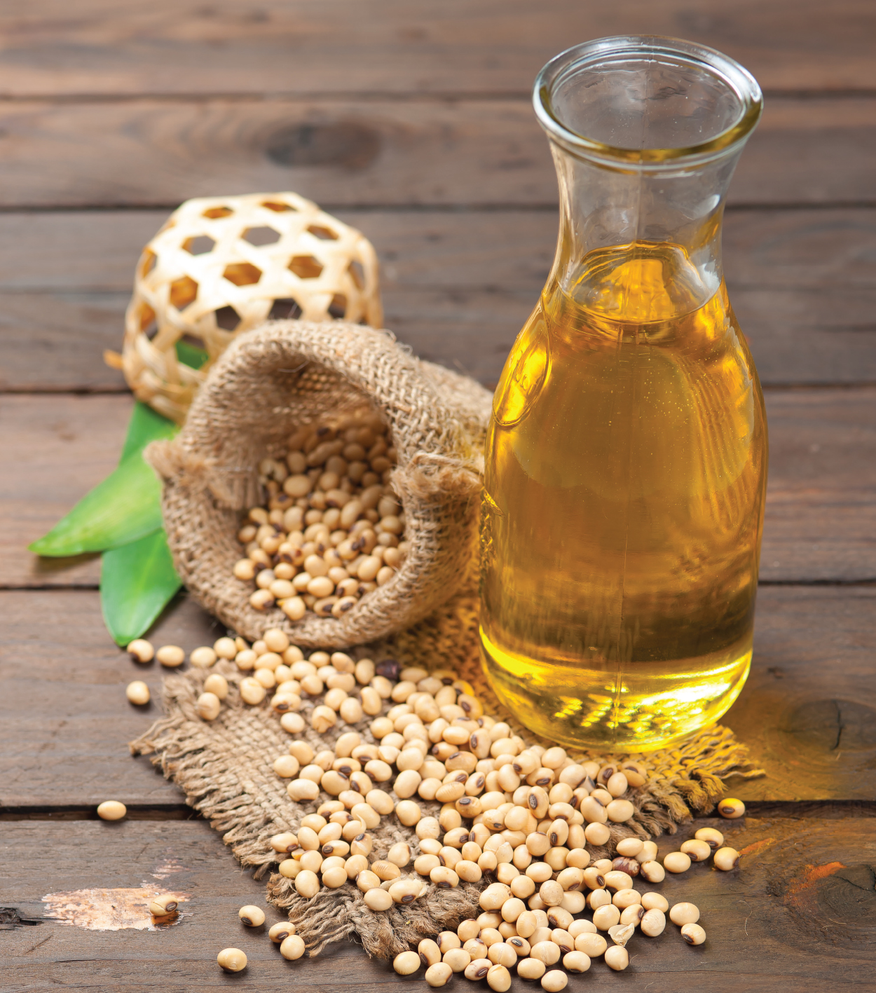 Comparative study on Shelf-Life enhancement of Refined Soybean Oil using OxiKan R Plus & TBHQ