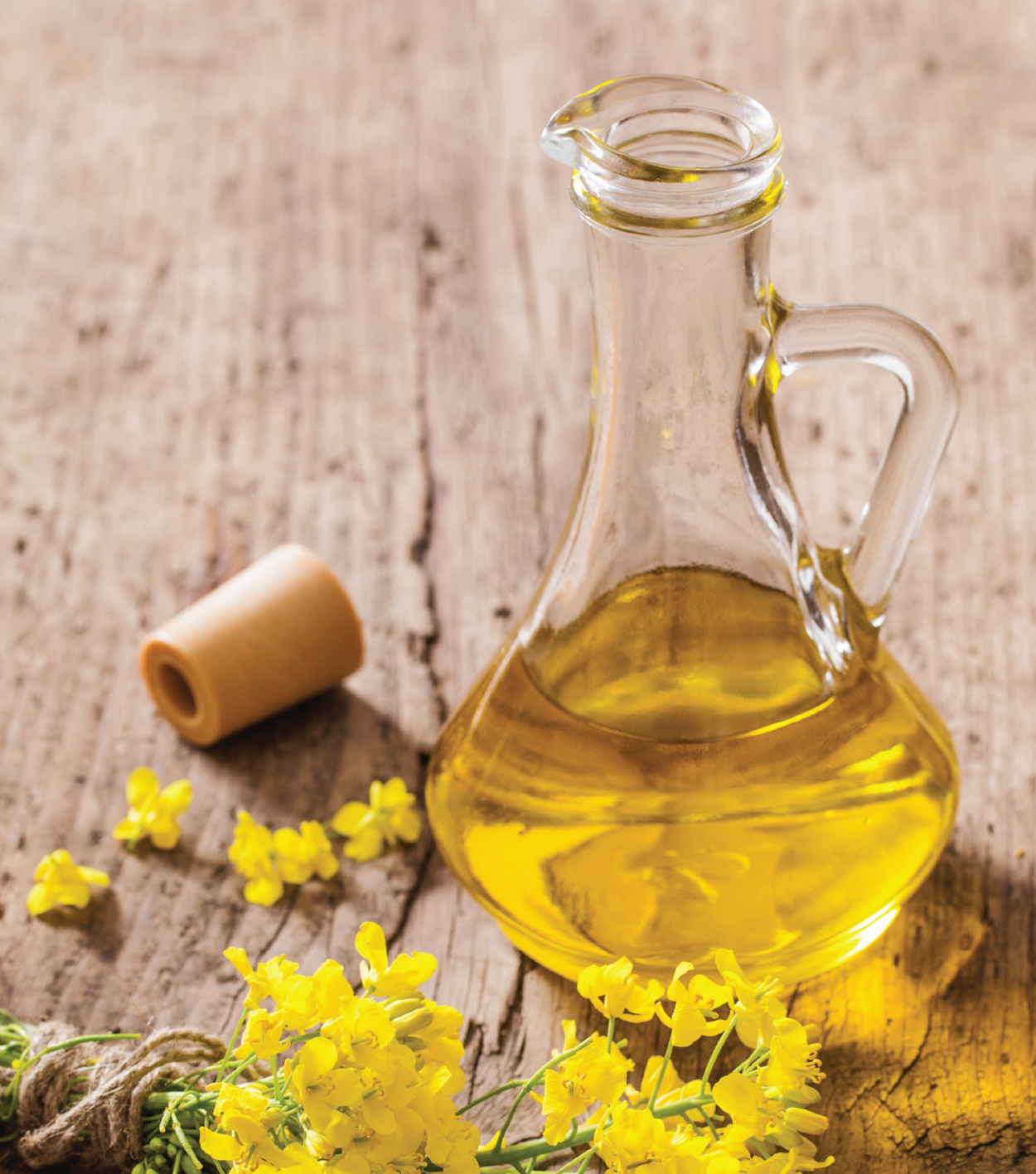 Comparative study on Shelf-Life enhancement of Refined Canola Oil using OxiKan R Plus & TBHQ