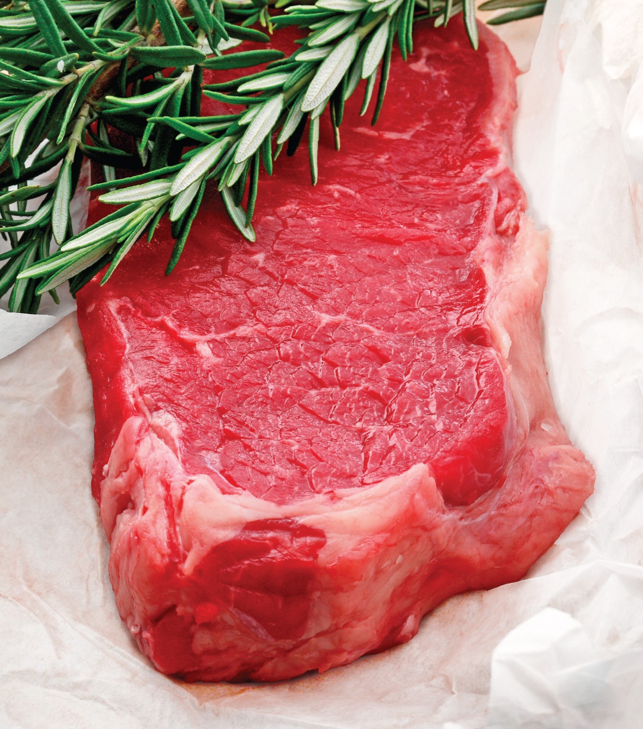 Oxikan R Comparative Colour Impact Study