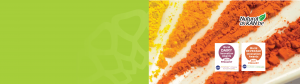 Main-banner