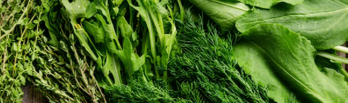 Main-banner